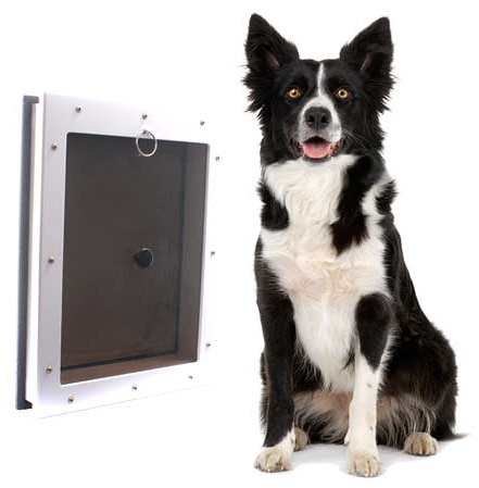 Energy Efficient Pet Door